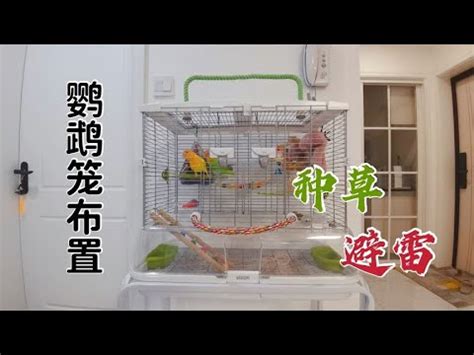 鳥籠佈置|【鳥籠佈置】鳥籠也能變身藝術品！手把手教你5個打。